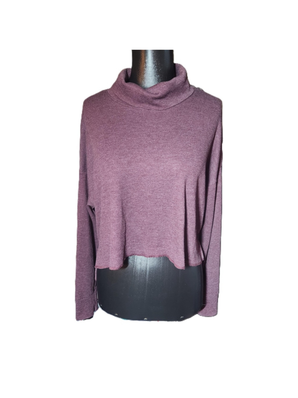 American Eagle Purple Turtleneck Long Sleeve Shirt Small - Picture 1 of 7